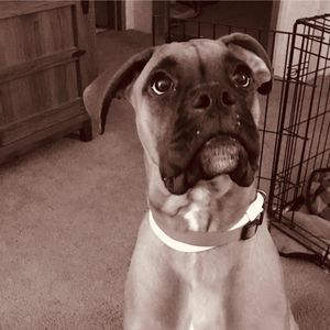 Meet your Posher, Sherry